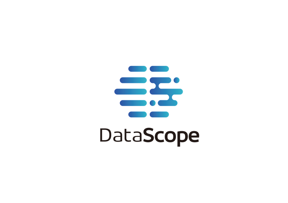 DataScope 上海数动视界